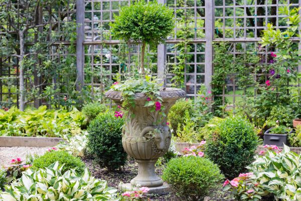 Topiary Pruning in Tacoma