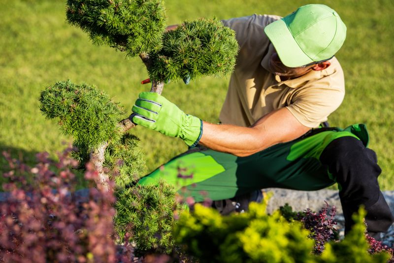 Seasonal Shrub Care